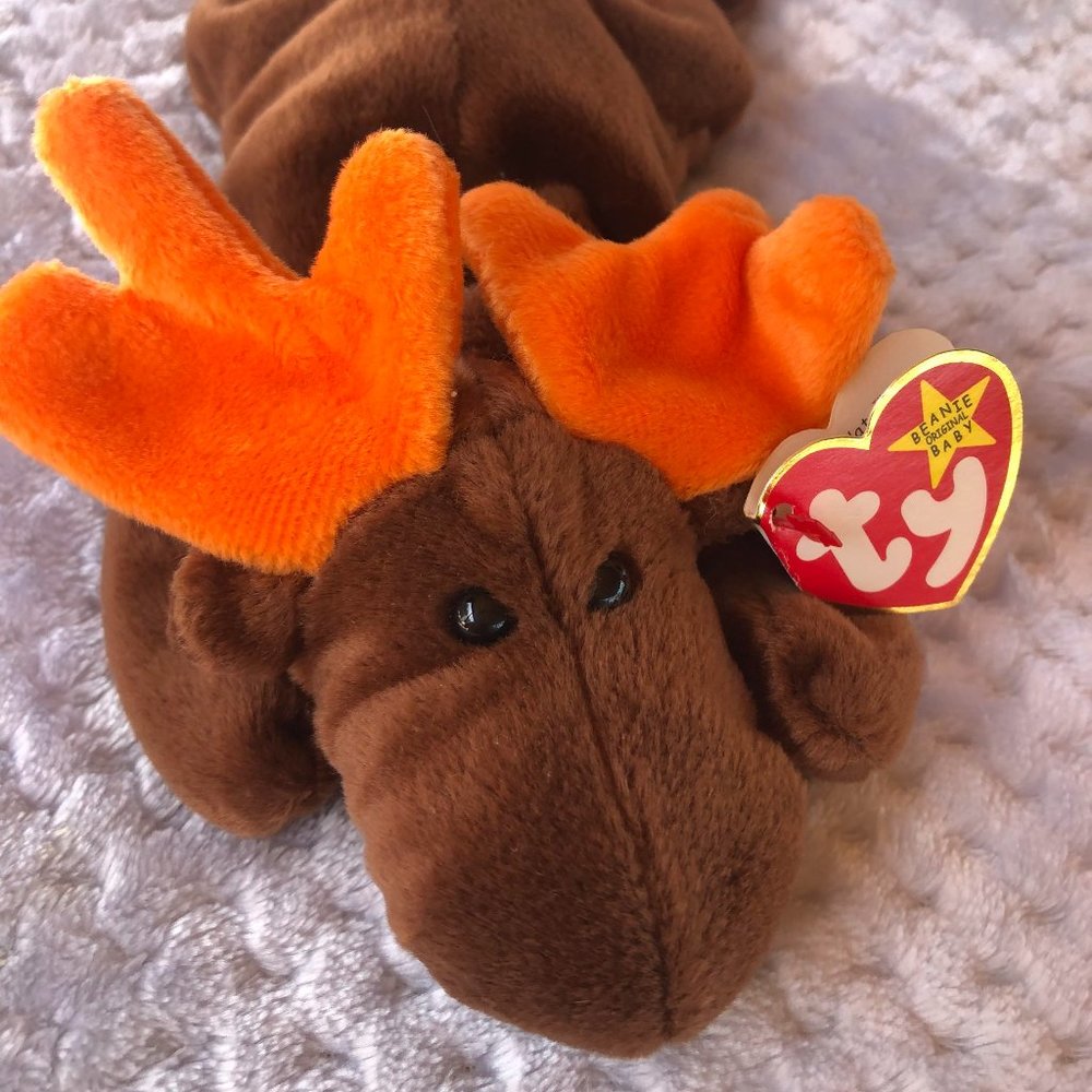 TY Beanie Baby Chocolate the Moose - Picture 2 of 10
